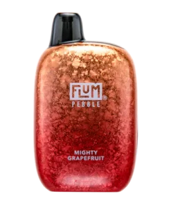 Flum Pebble Vape