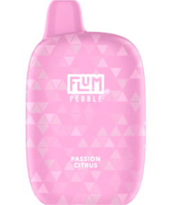 Flum Pebble Vape